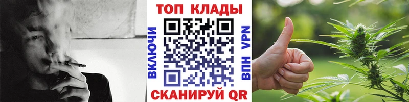 Купить наркотики цена Жердевка Канабис  A PVP  ГАШИШ  Псилоцибиновые грибы  Меф мяу мяу 