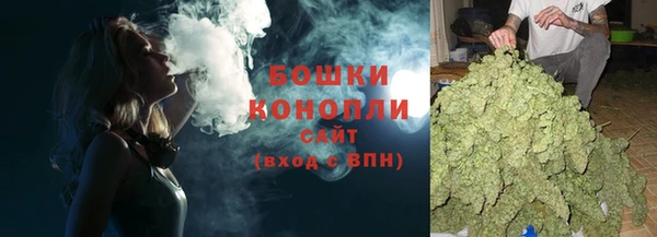 ПСИЛОЦИБИНОВЫЕ ГРИБЫ Гусь-Хрустальный