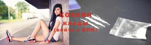 ПСИЛОЦИБИНОВЫЕ ГРИБЫ Гусь-Хрустальный