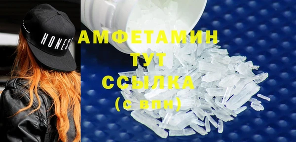 ПСИЛОЦИБИНОВЫЕ ГРИБЫ Гусь-Хрустальный