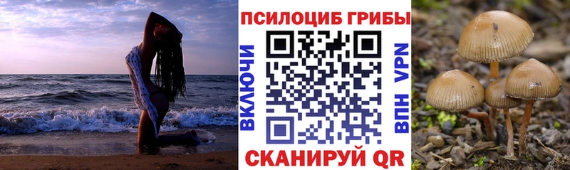 как найти наркотики  Жердевка  Галлюциногенные грибы прущие грибы 